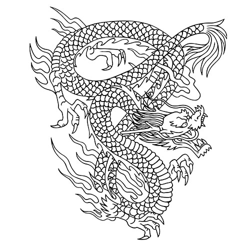 龙