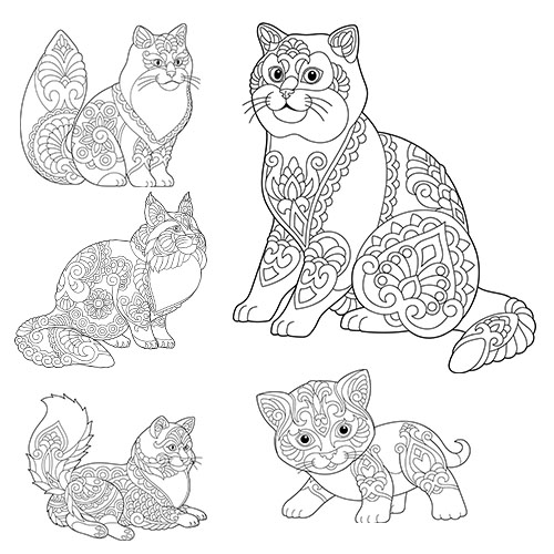 可爱的猫咪