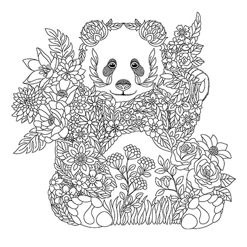 森林动物