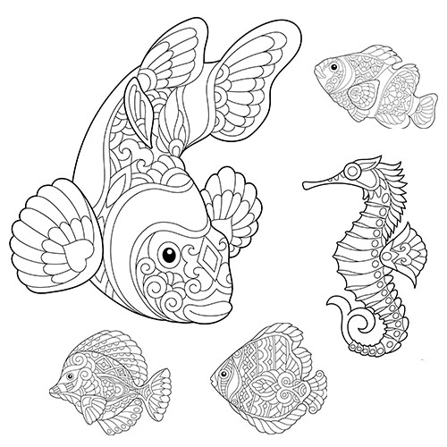 海底动物