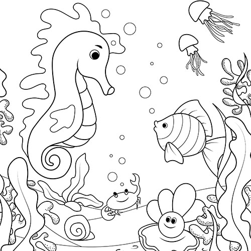 海底动物组合