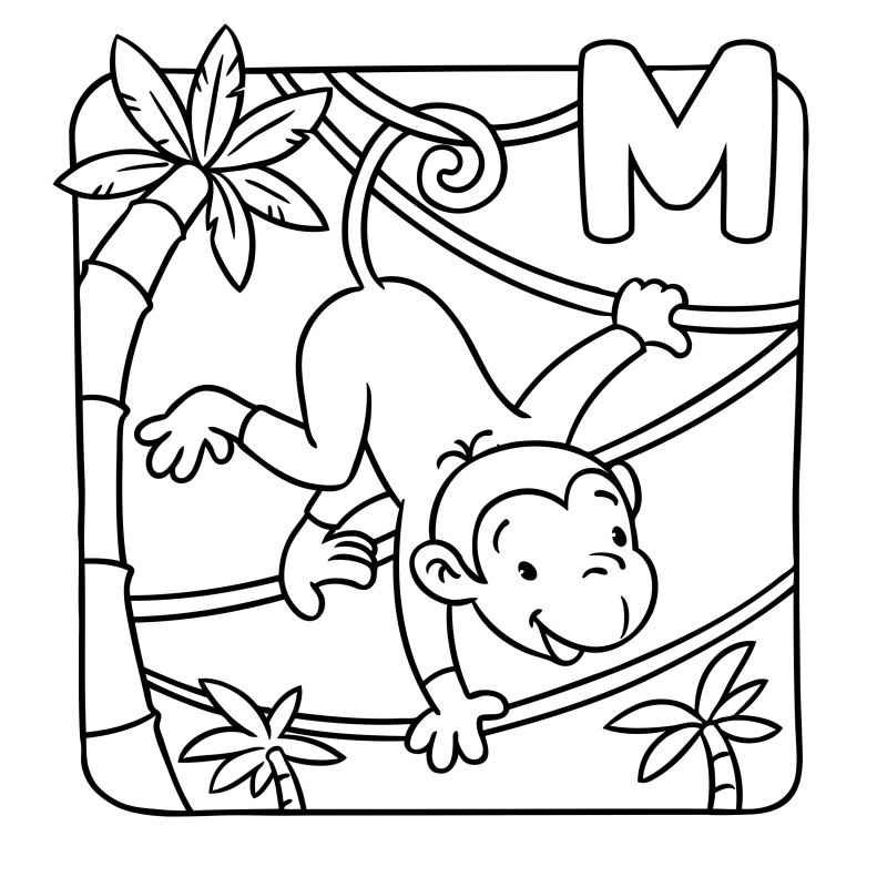 字母-动物-M
