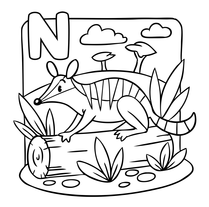字母-动物-N