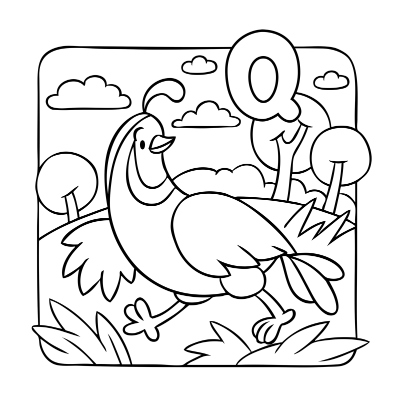 字母-动物-Q