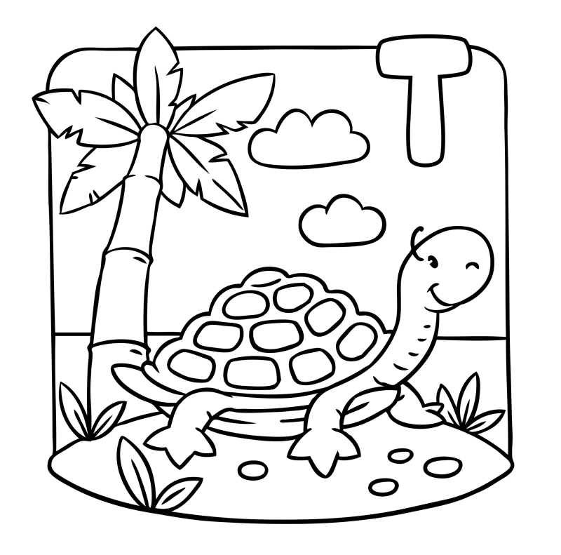 字母-动物-T