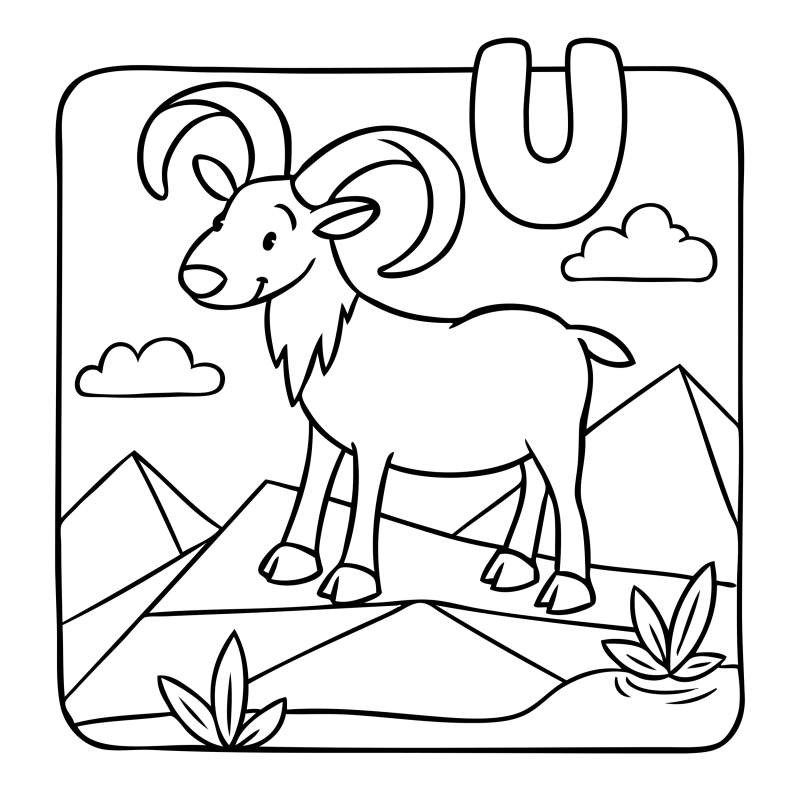 字母-动物-U