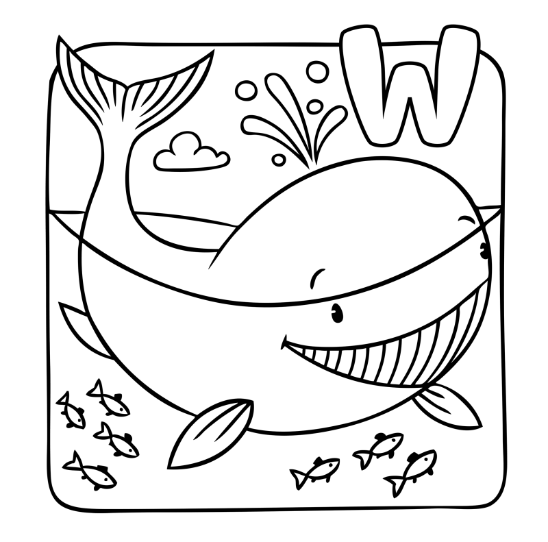 字母-动物-W