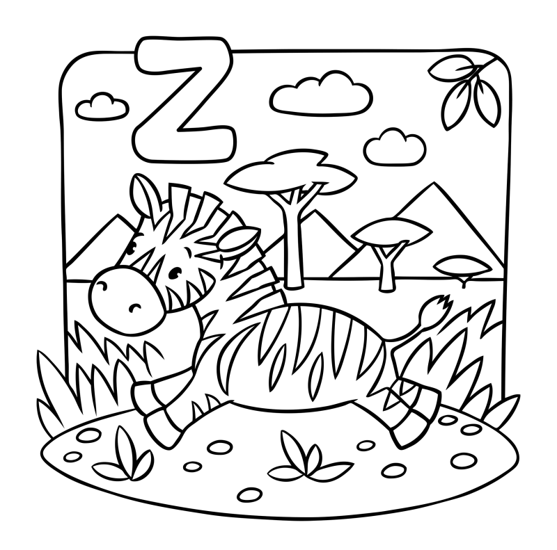 字母-动物-Z