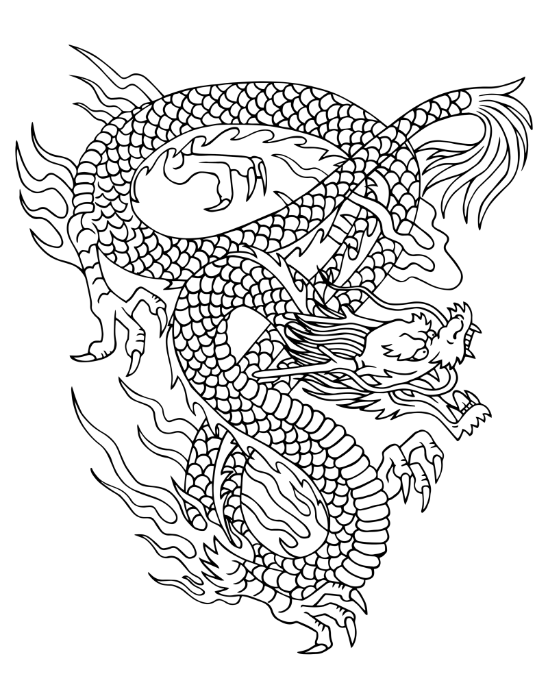 龙
