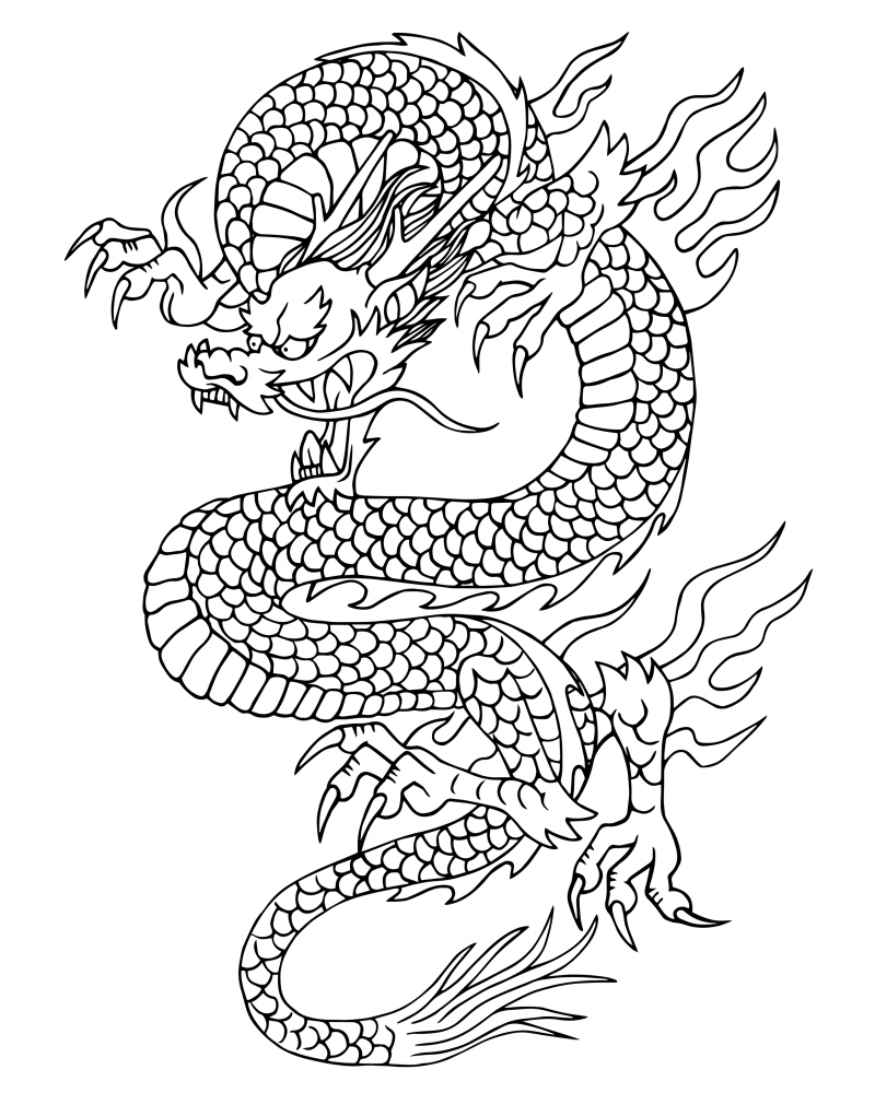 龙