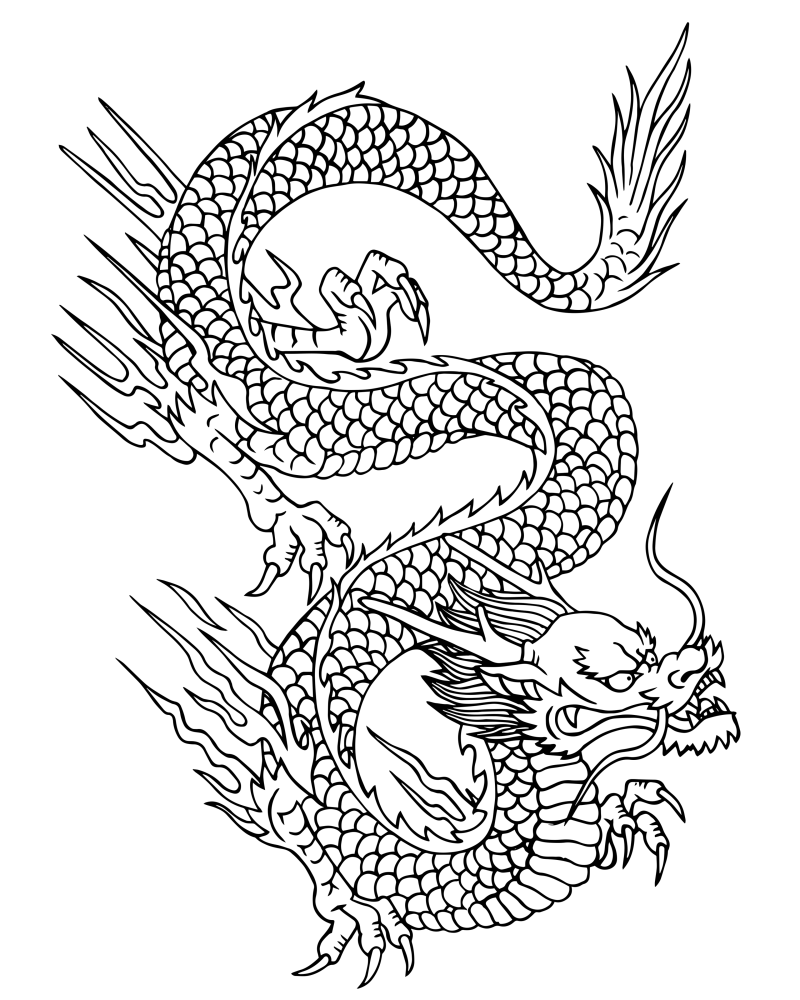 龙