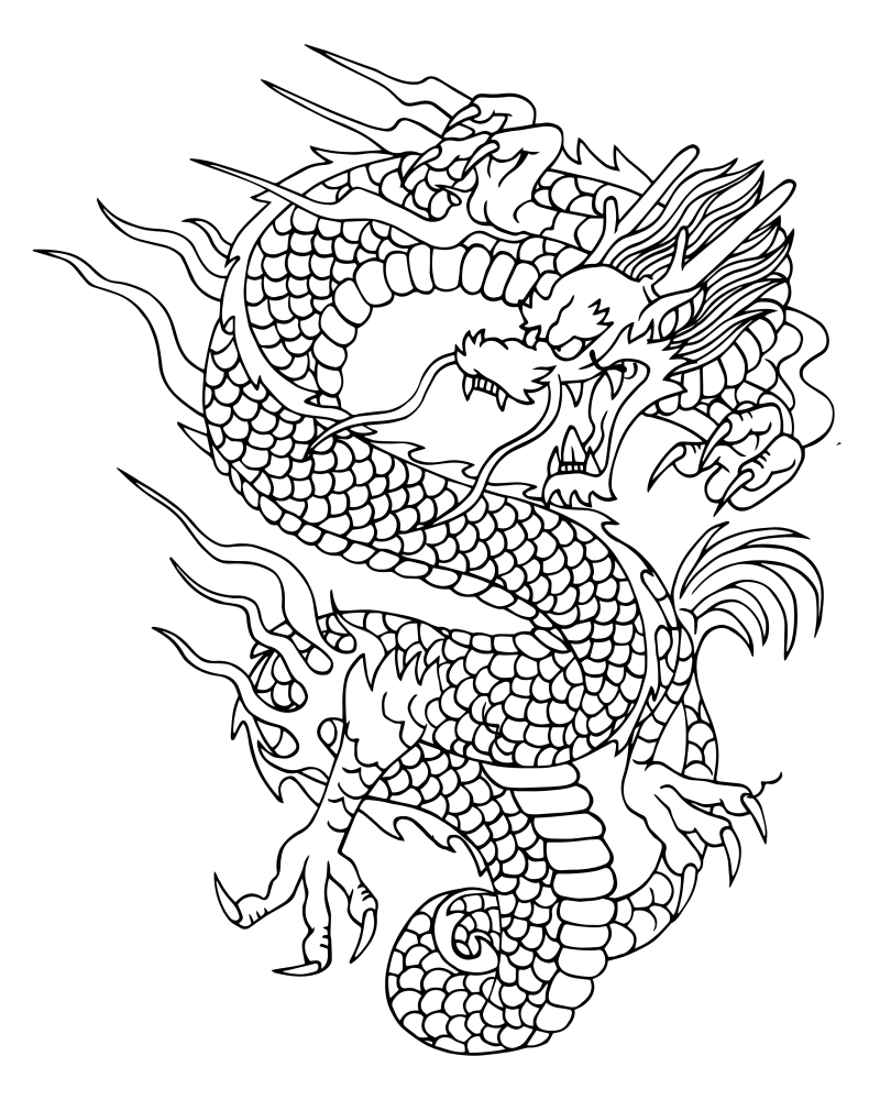 龙