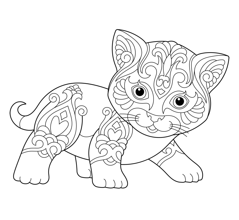 可爱的猫咪