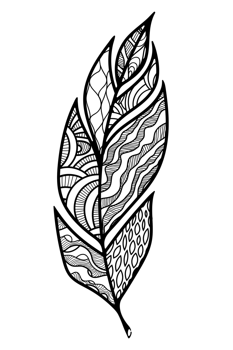 羽毛