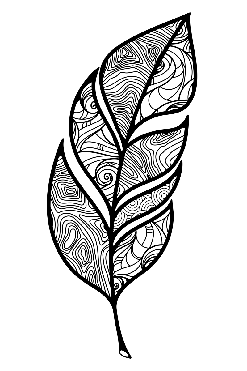 羽毛