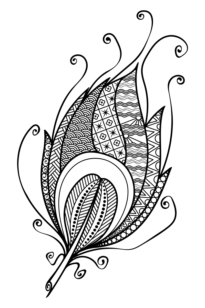 羽毛