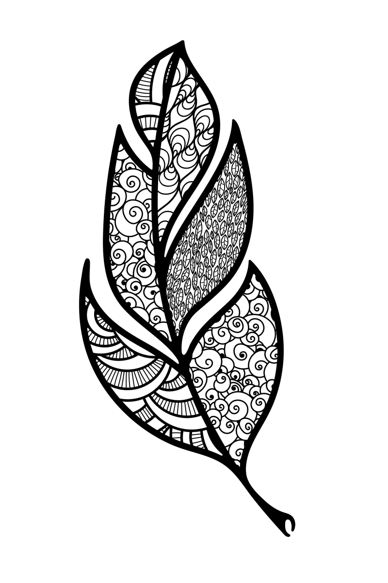 羽毛
