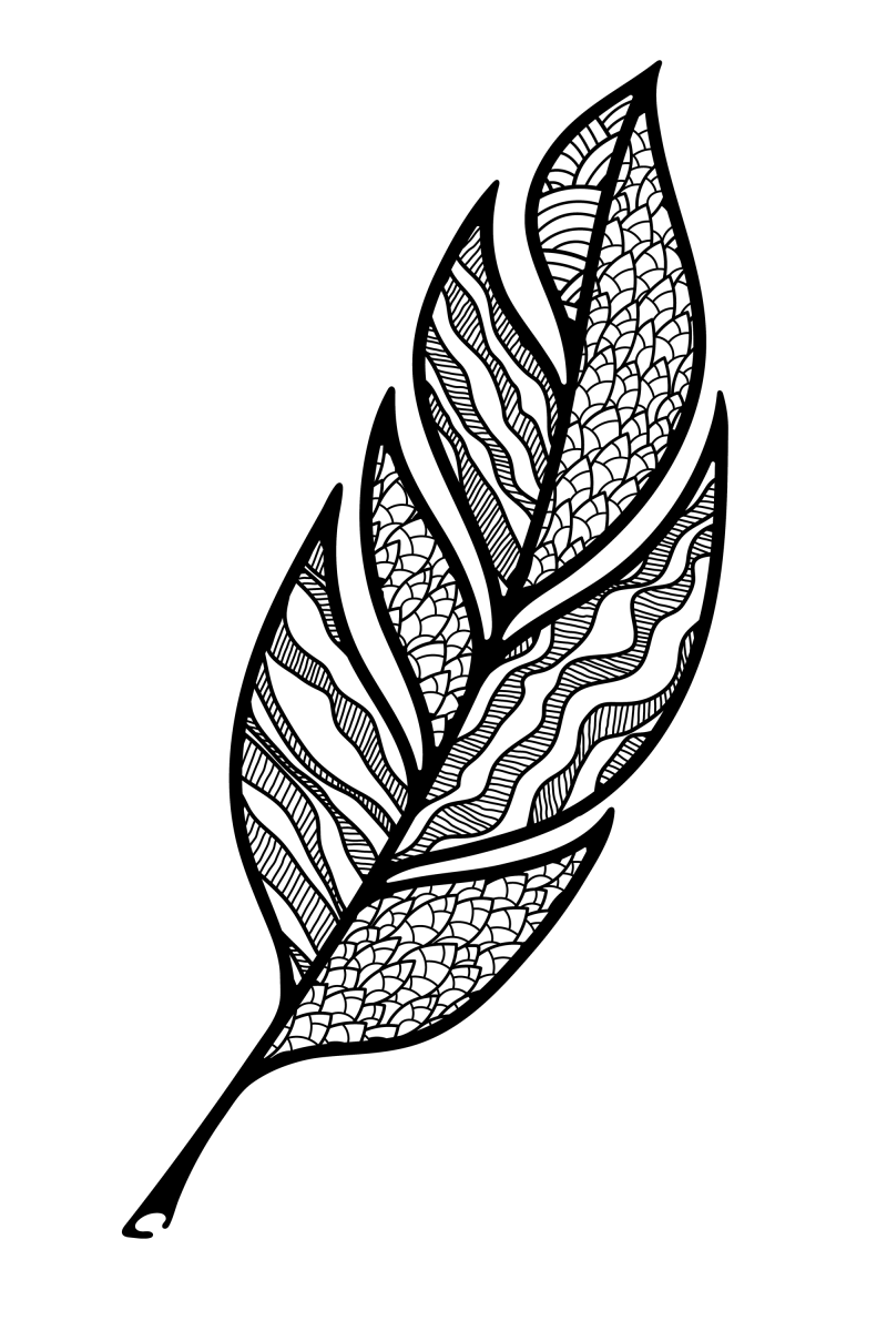 羽毛