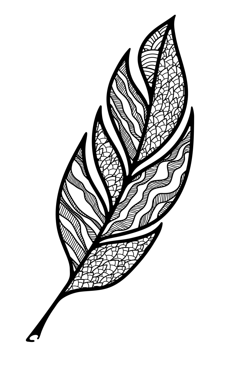 羽毛