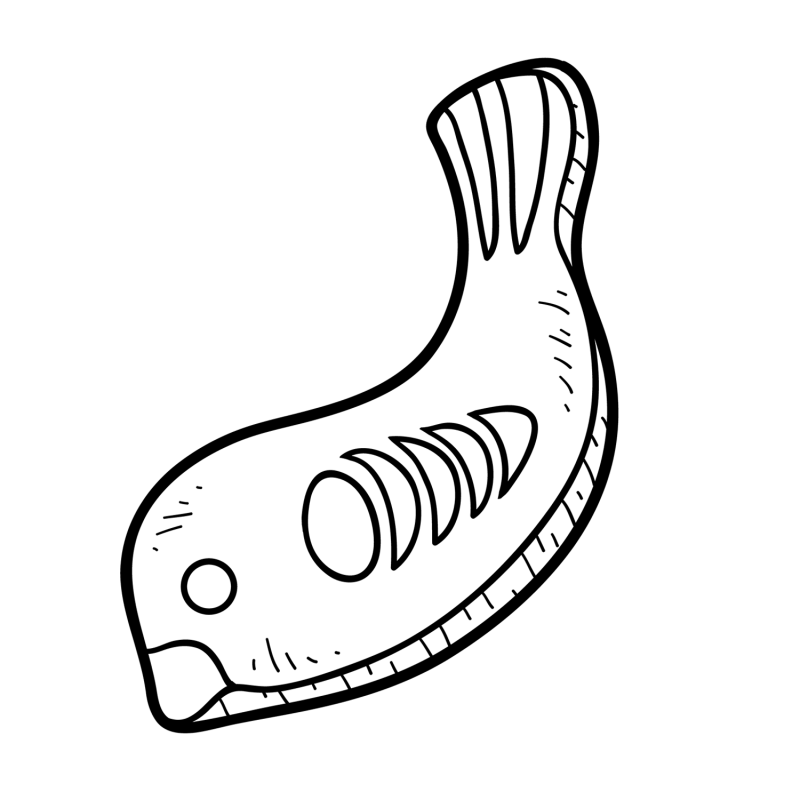 饼干