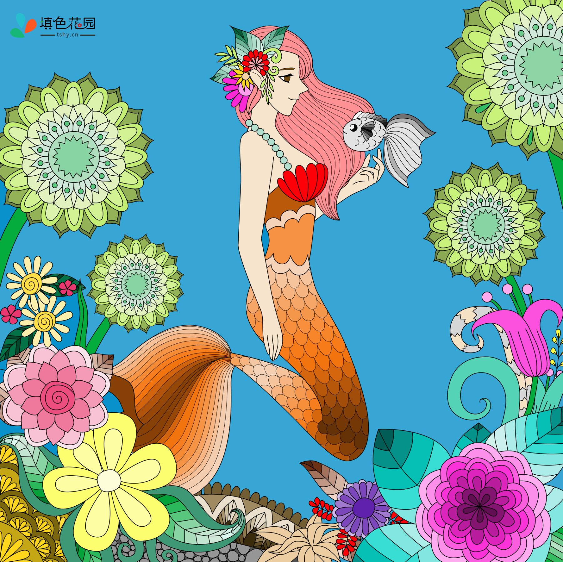 高级-美人鱼