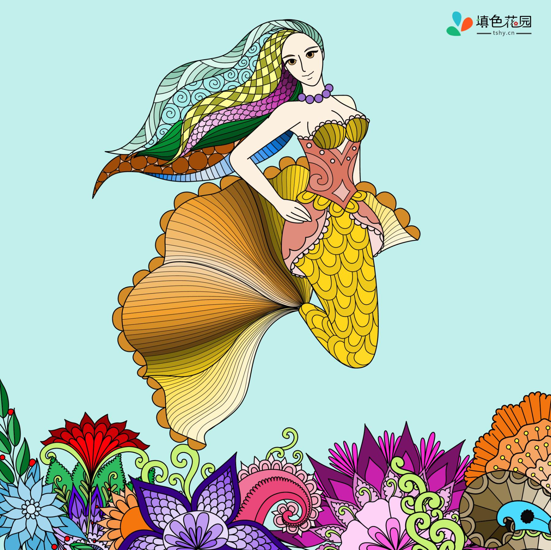 高级-美人鱼